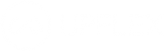 UPFLEX